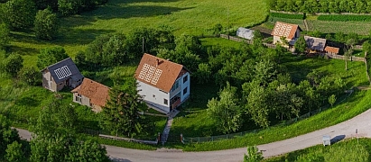 Zelena Solidarita obrazok